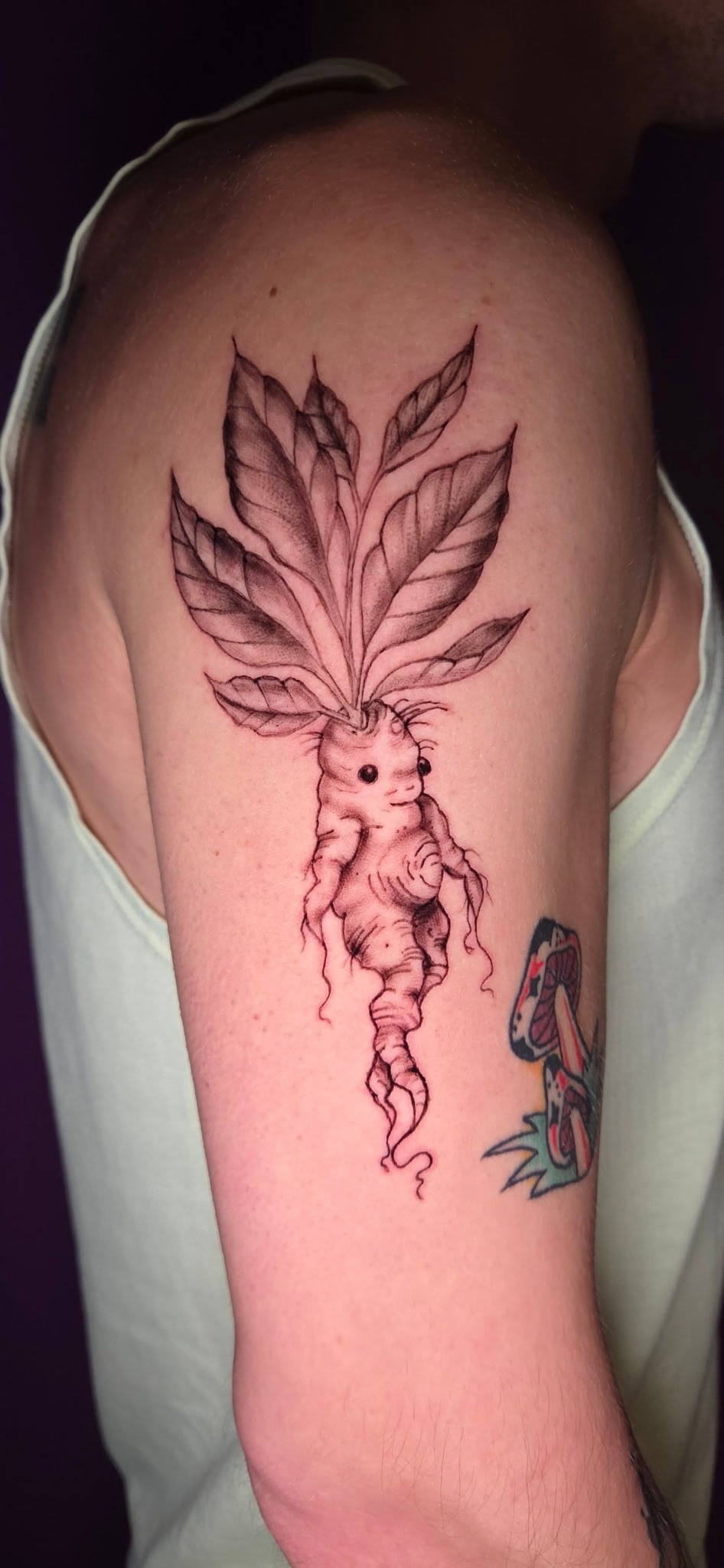 Fine line mandrake upper arm tattoo by Cherae